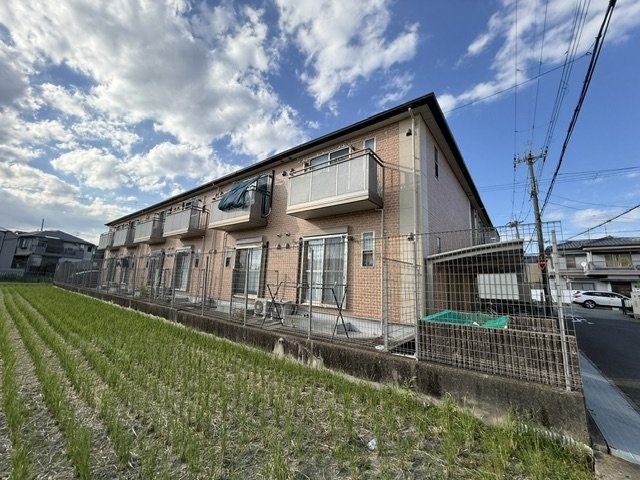 ウィッチ