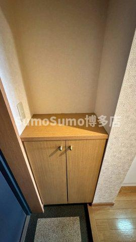 ダイナコートテソロ西新の玄関