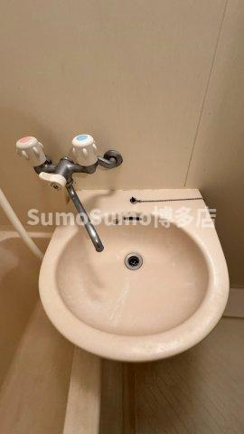 ダイナコートテソロ西新の洗面所