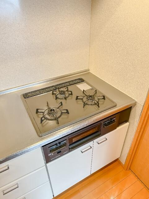 レジディア島津山(レジディアシマヅヤマ)のキッチン
