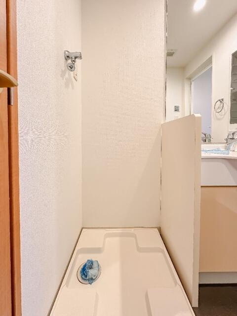 レジディア島津山(レジディアシマヅヤマ)の洗面所