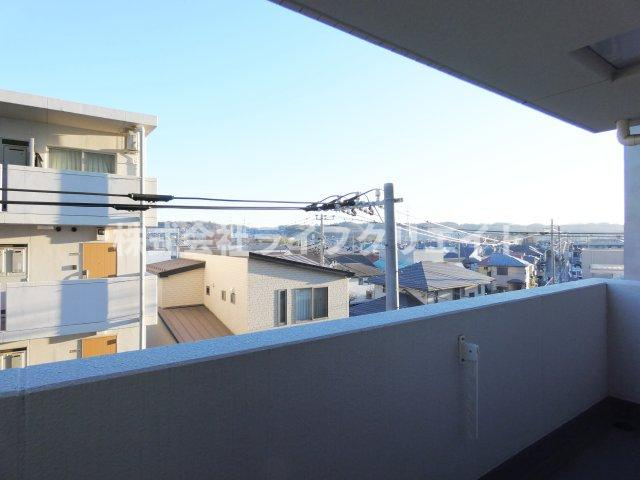 フォルトゥーナ（Fortuna）の展望