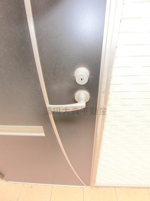 メゾン　バティス羽田Ⅱの玄関