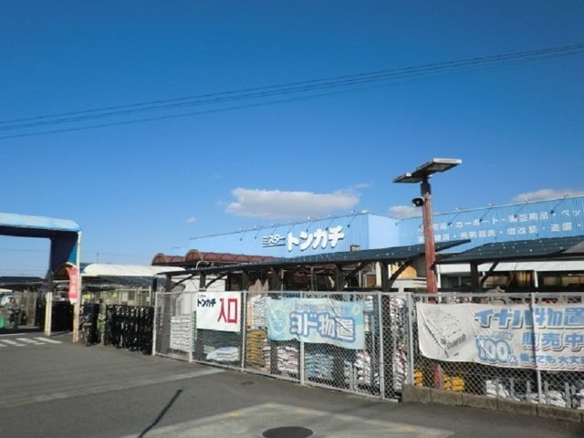 ヴェリテ・ボー　Ⅱの周辺|ミスタートンカチ江場店まで550m