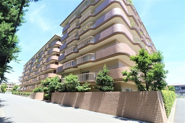芦屋市朝日ケ丘町の賃貸マンションの外観