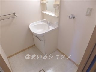 ハピネス口田の洗面所|シャワー付き洗面化粧台