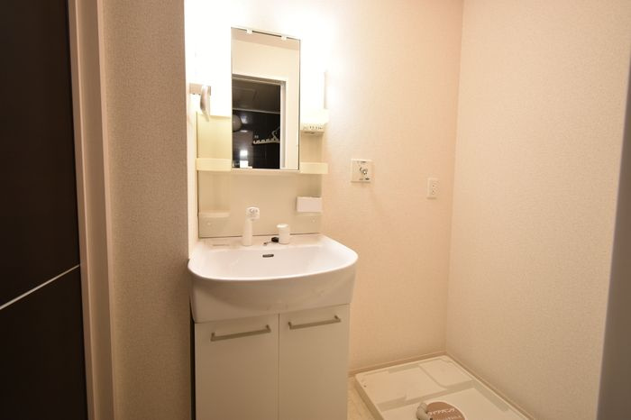 D-Room寺町の洗面所