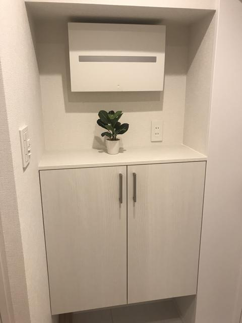アビテ曙橋の洗面所