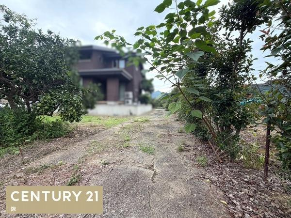 有田市千田　土地の前面道路含む現地写真
