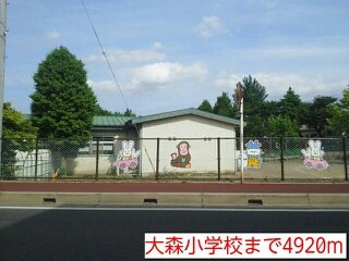 アバンサールⅢの周辺|大森小学校まで4920m