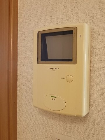 パレス　ブルー・マウンテンＢのセキュリティ