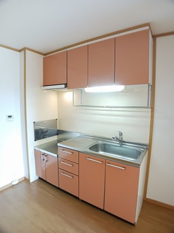 パレス　ブルー・マウンテンＢのキッチン