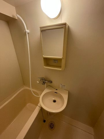 スコッツ・デールⅡの洗面所