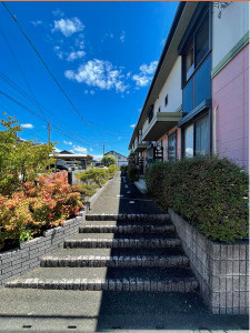 ドルフ壱番館【キャッシュバック対象物件】のエントランス|駐車場に車を止められます