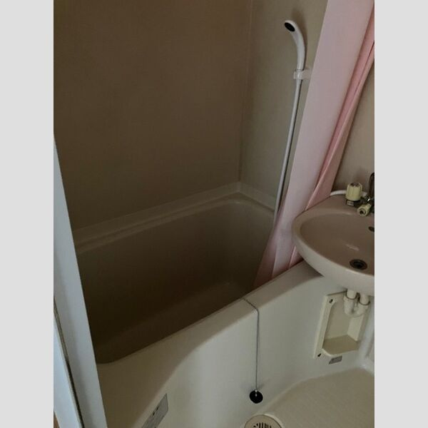 ヒルズ深阪南の洗面所