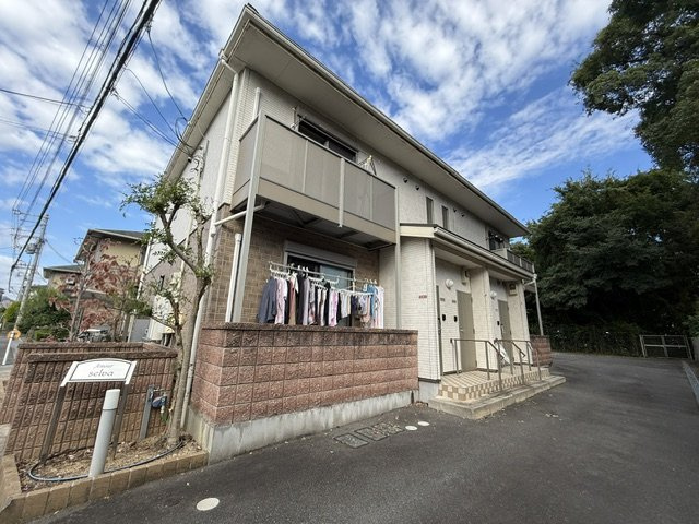 アムールSelva