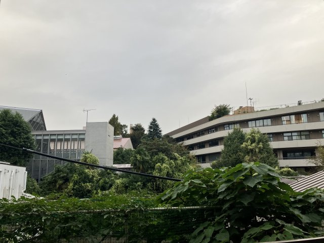 【展望】 | アステール白金