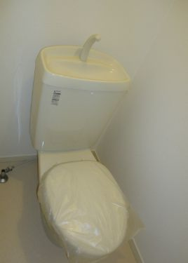 ベルヴェデーレ TK2のトイレ|シンプルで使いやすいトイレです