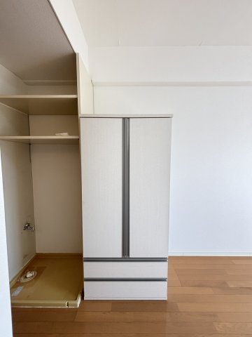 アルビヨン錦の収納