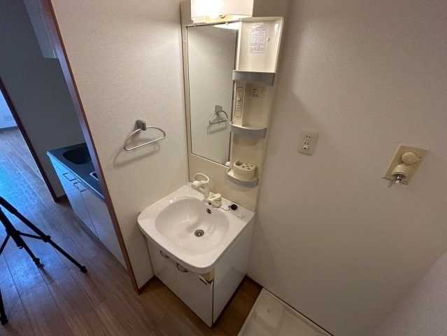 シャインビュー新大阪の洗面所