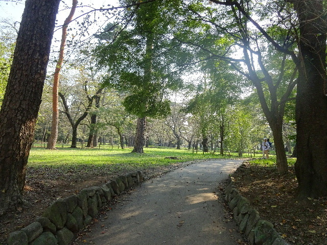 Ｅｓｐｏｉｒのその他|大宮公園