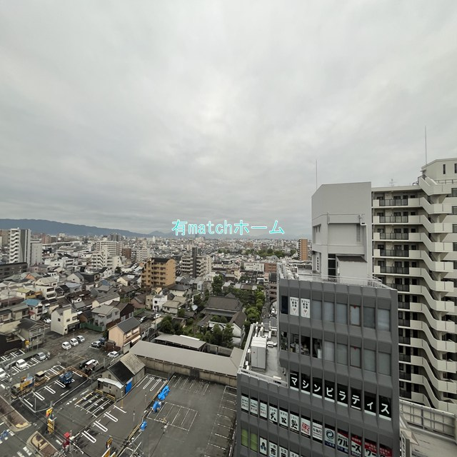ハイラインⅤの展望