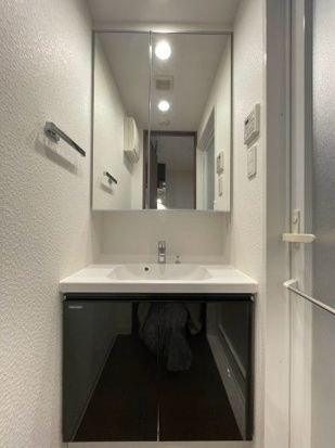 DIPS十条仲原WESTの洗面所