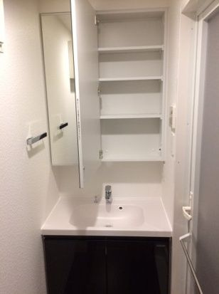 DIPS十条仲原WESTの洗面所