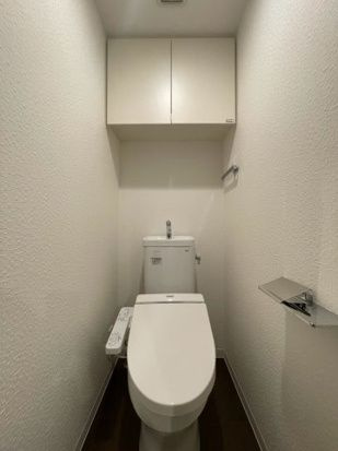 DIPS十条仲原WESTのトイレ