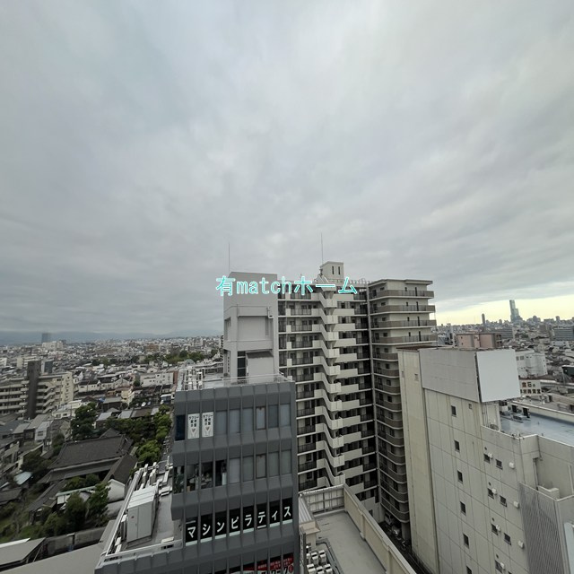 ハイラインⅤの展望