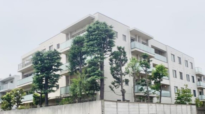 【展望】ＤＯＧＷＯＯＤ南麻布