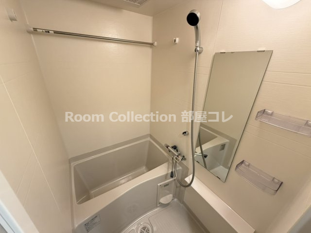 ディアレイシャス名古屋大須通の浴室