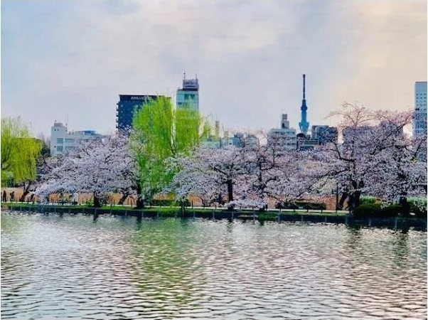 ＢｒｉｌｌｉａＴｏｗｅｒ上野池之端のその他