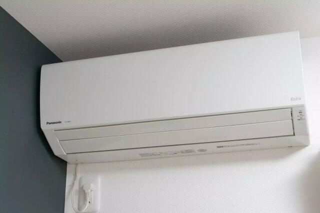 ＡＰ１０５８　ポンデロッサ学芸大学のその他