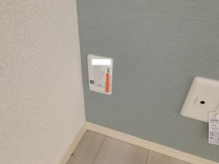 AZELEAのその他