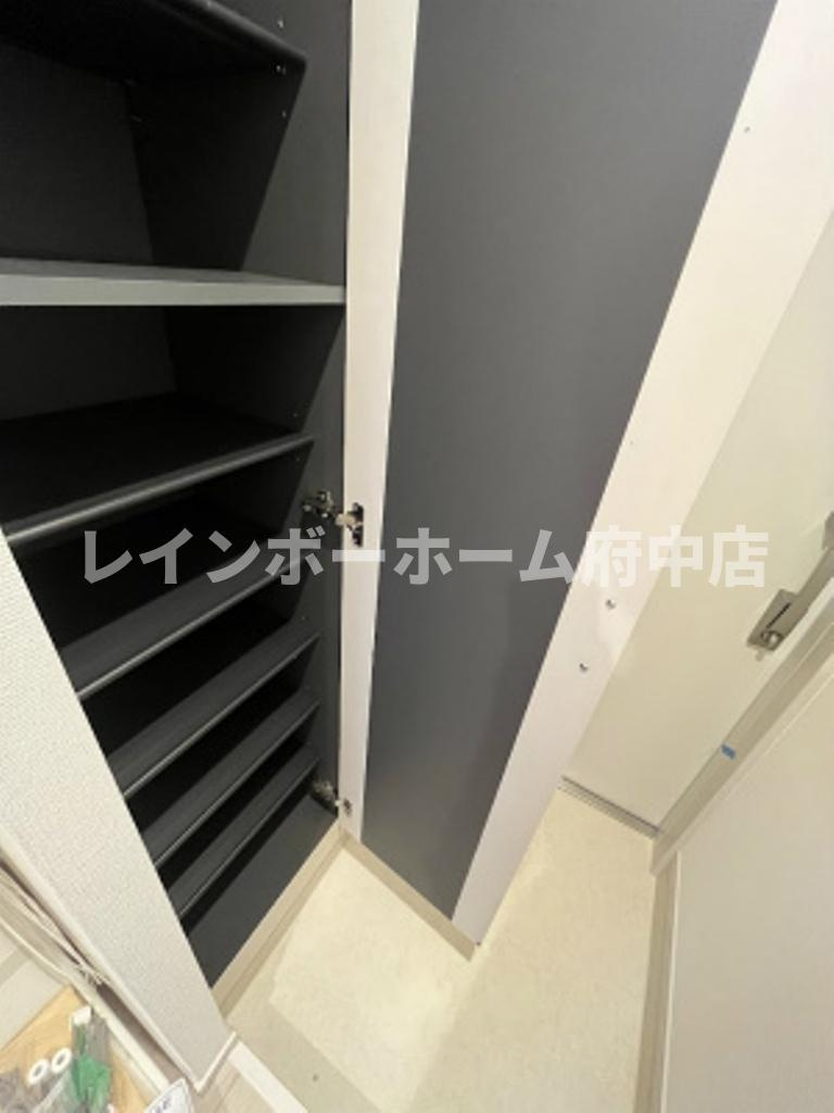 リブリ・ラピスカーサのその他