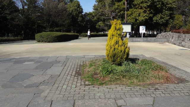 木場ビクトリーマンションの周辺