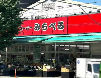 クレヴィアリグゼ西巣鴨の周辺