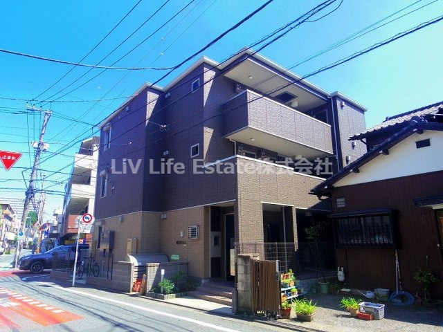ビクトリースネーク