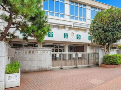 【周辺】 | 板橋区常盤台1丁目　新築戸建　№1 10800万円 | 板橋区立常盤台小学校