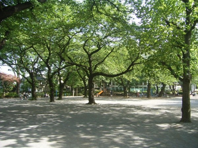 【周辺】 | 板橋区常盤台1丁目　新築戸建　№1 10800万円 | 常盤台公園