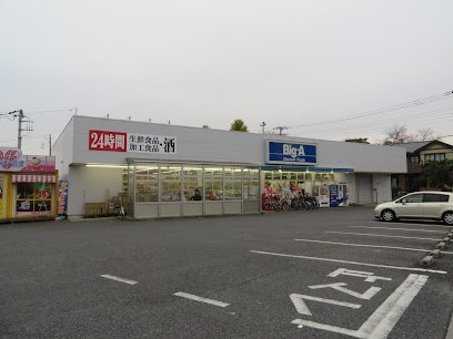 レオネクストパティオⅡの周辺