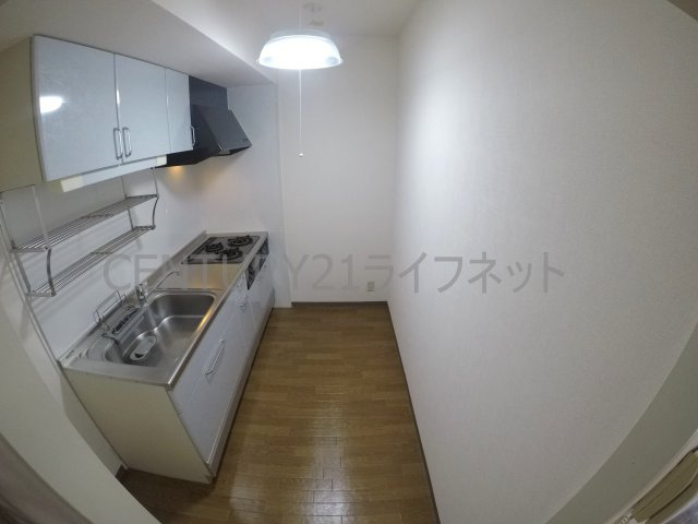 【その他】 | グレイス谷川