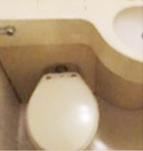 アサミハイツのトイレ