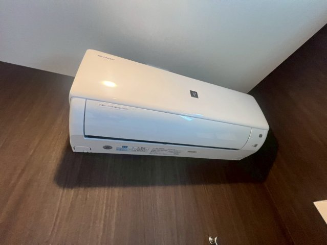 ステラ　Yのその他