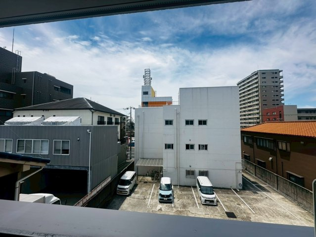 ステラ　Yの展望