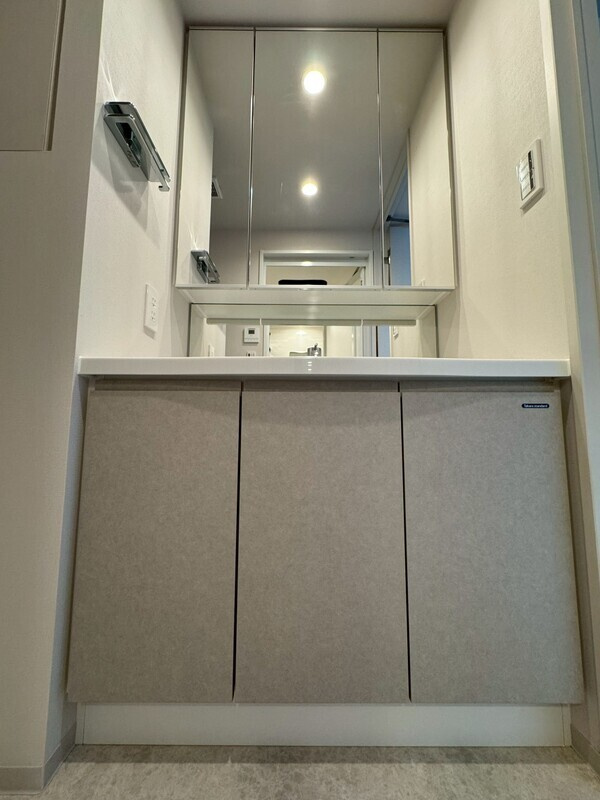 ルミーク錦糸町の洗面所