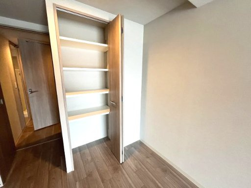 ミラージュパレス都島本通の収納|イメージとして同マンション他部屋を表示しています。現況優先します