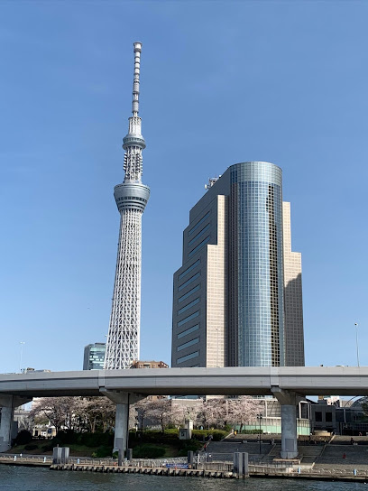 タワービューレジデンス吾妻橋の周辺