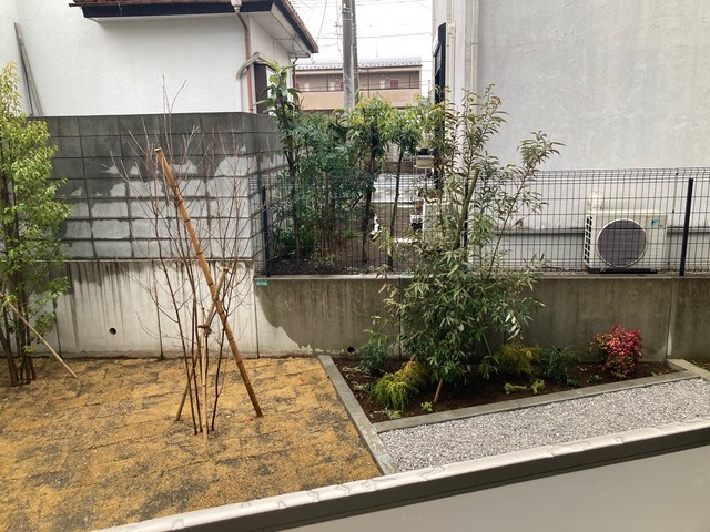 パルテールの展望